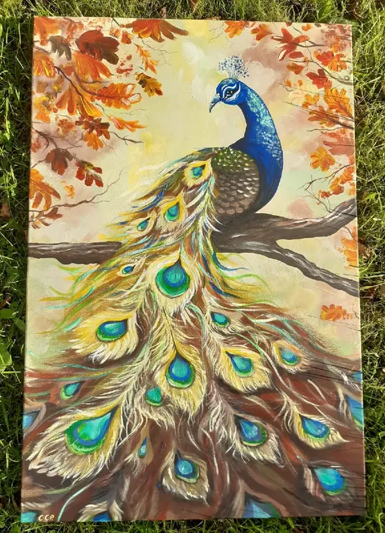 Image for Elegant peacock in autumn