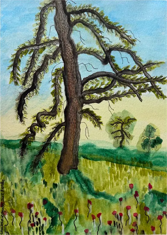 Image for Big Tree
