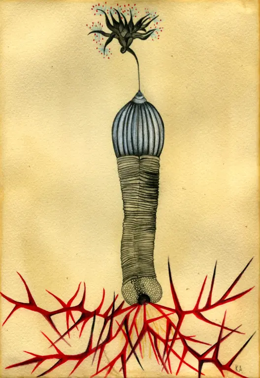 Image for Earthworm