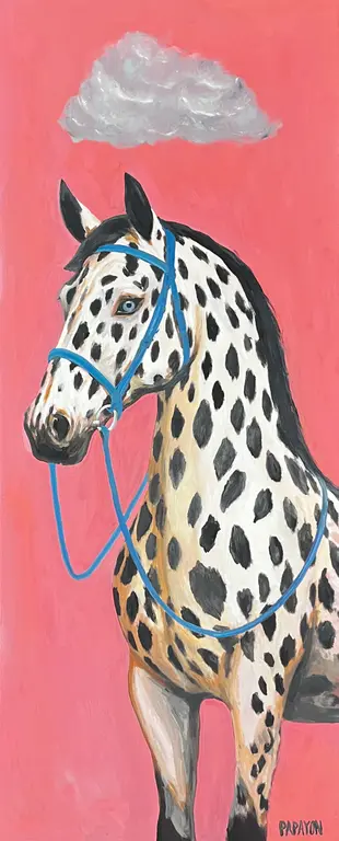 Image for Dress Code