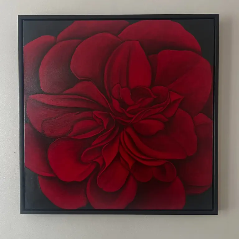 Image for Red Camellia at Night