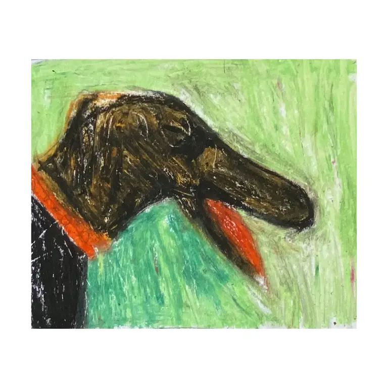 Image for Hound