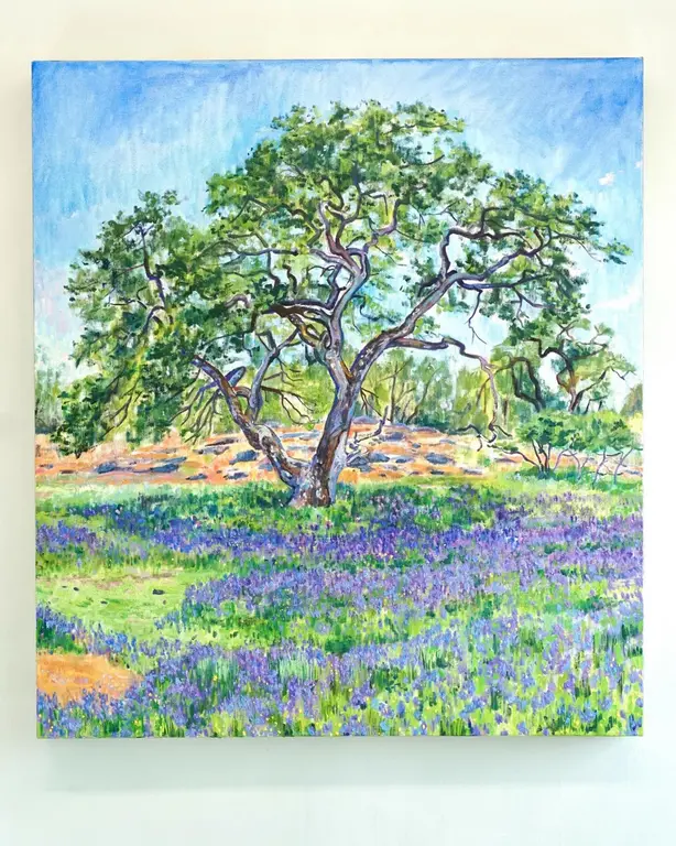 Image for Old Oak in the Meadow