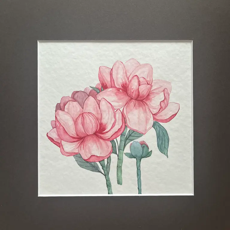 Image for Peony flowers