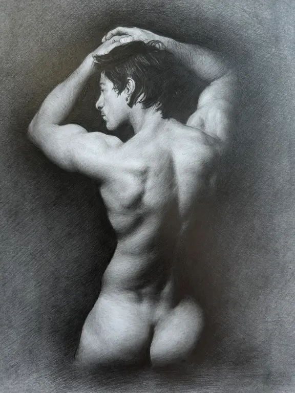 Image for Male torso / graphite