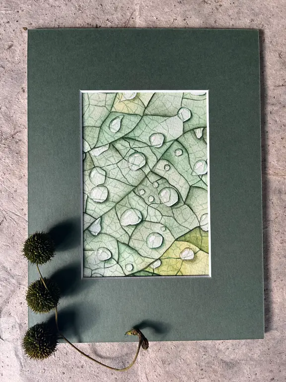 Image for Drops on leaves
