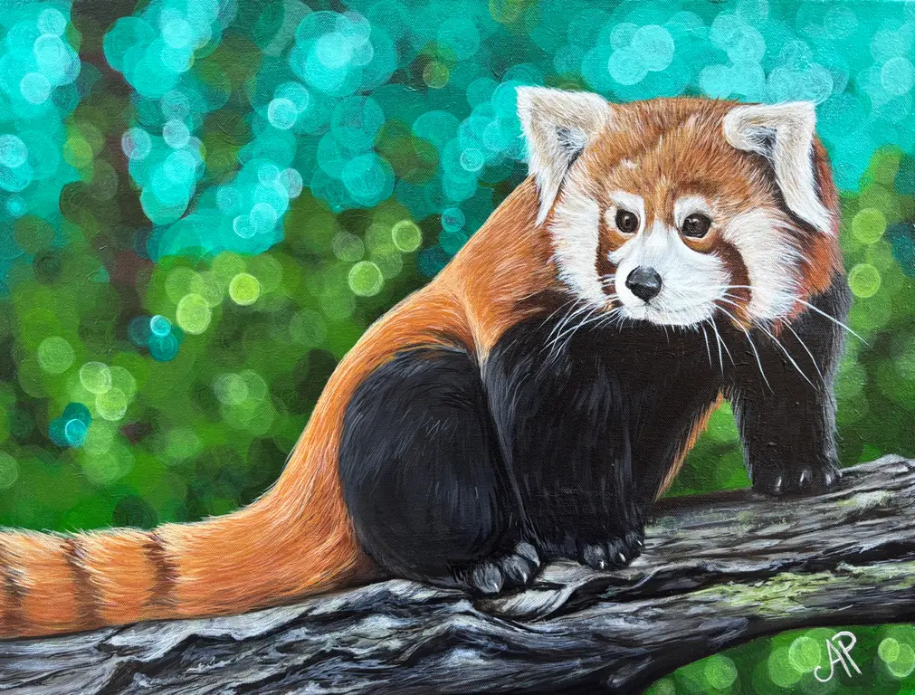 Image for Curious Glance of the Red Panda