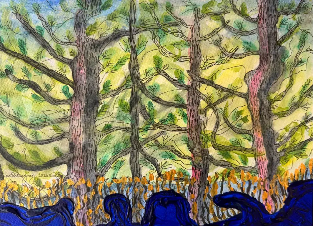 Image for Woods
