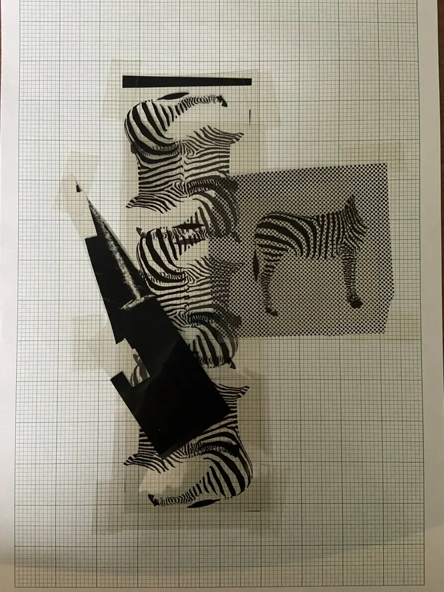 Picture of zebras film collage