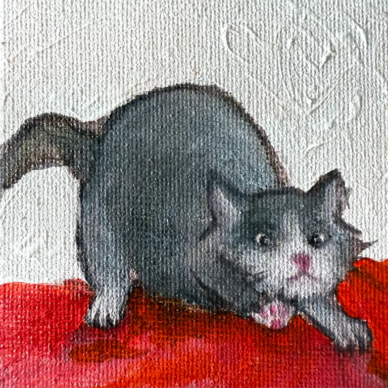 Image for Black and white cat