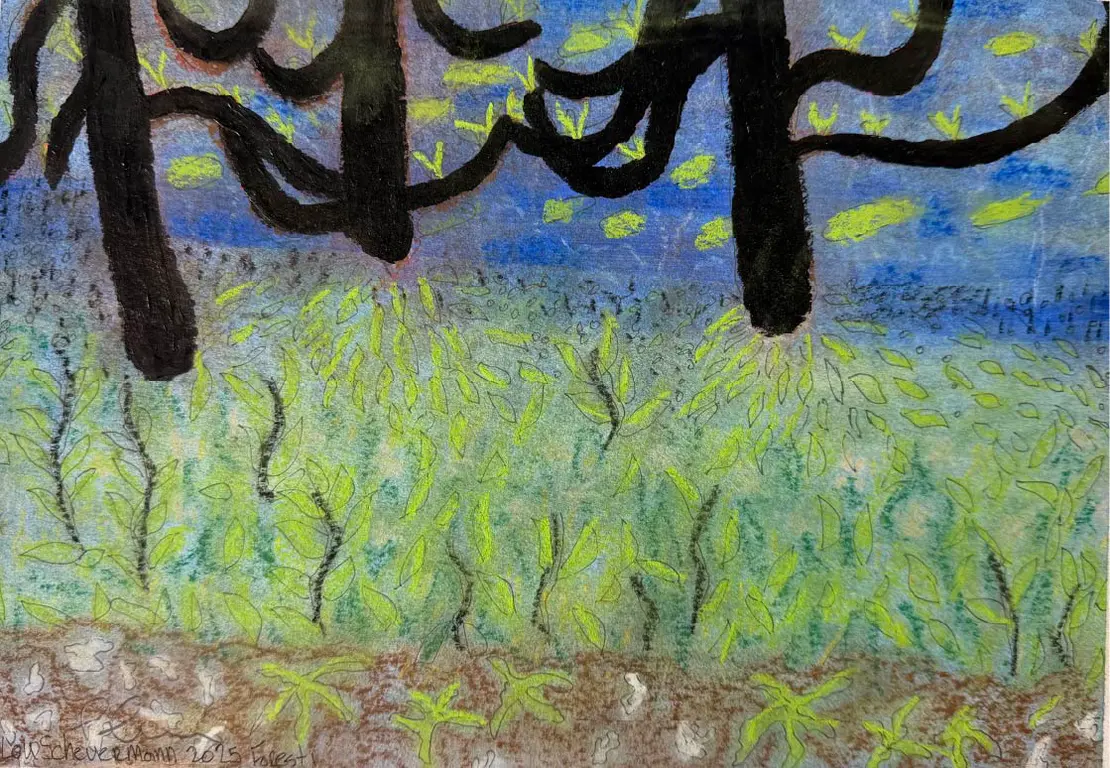 Image for Forest