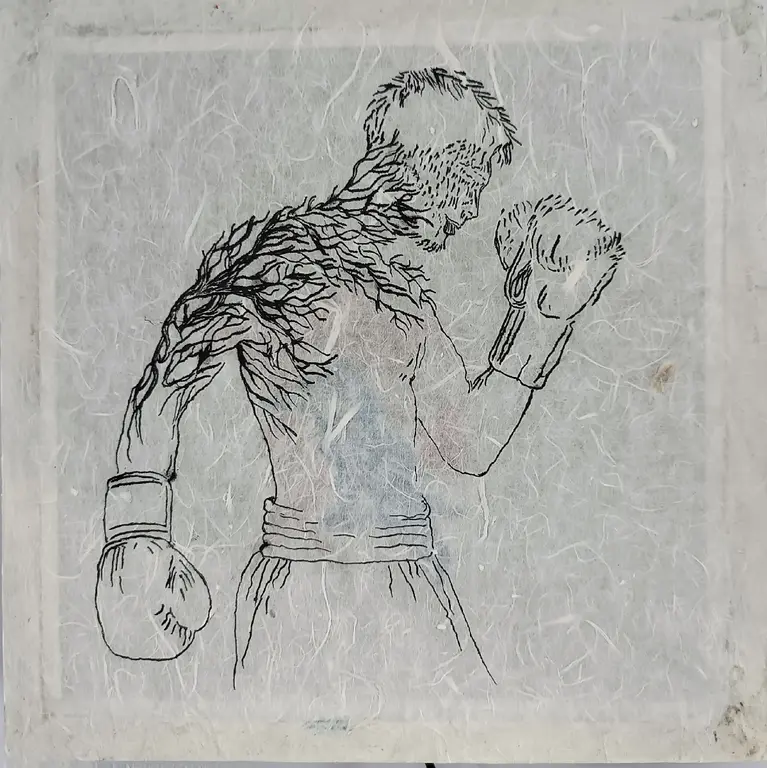 Image for Boxer 2