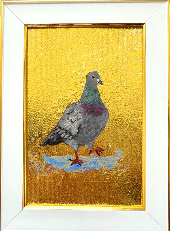 Image for Pigeon