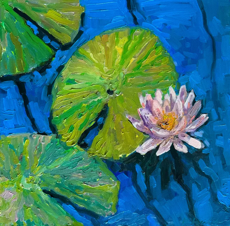 Image for Water lily