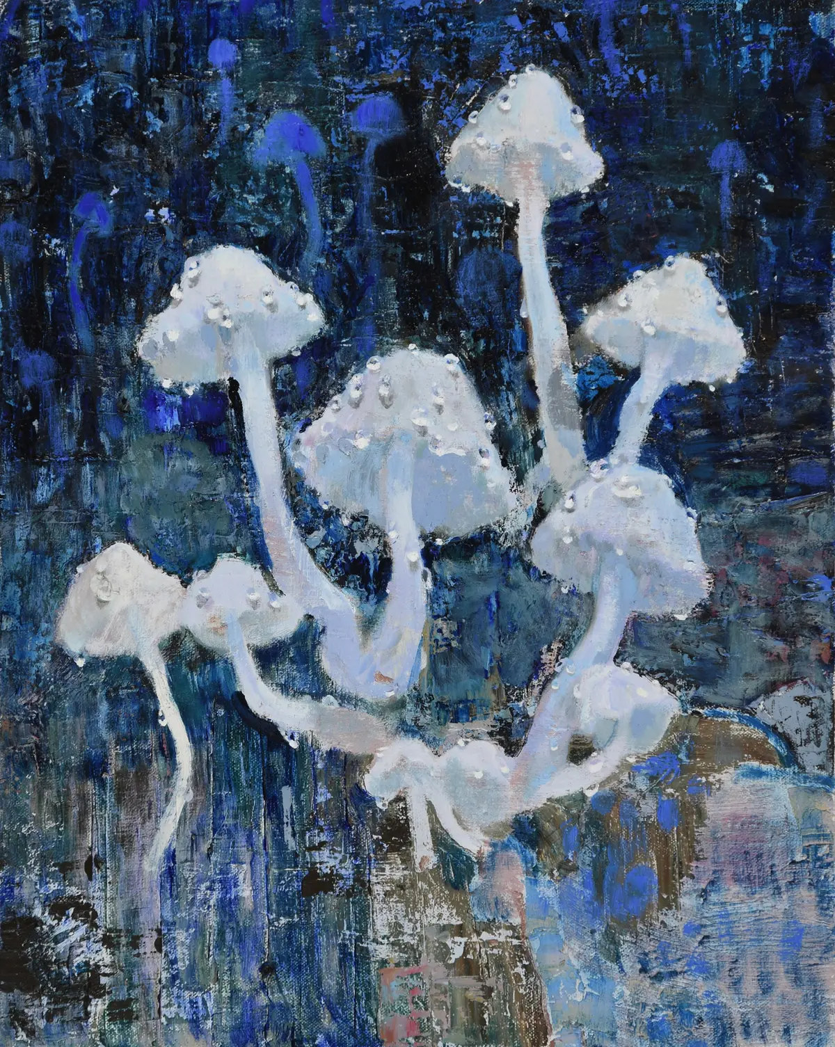 Picture of White Mushrooms