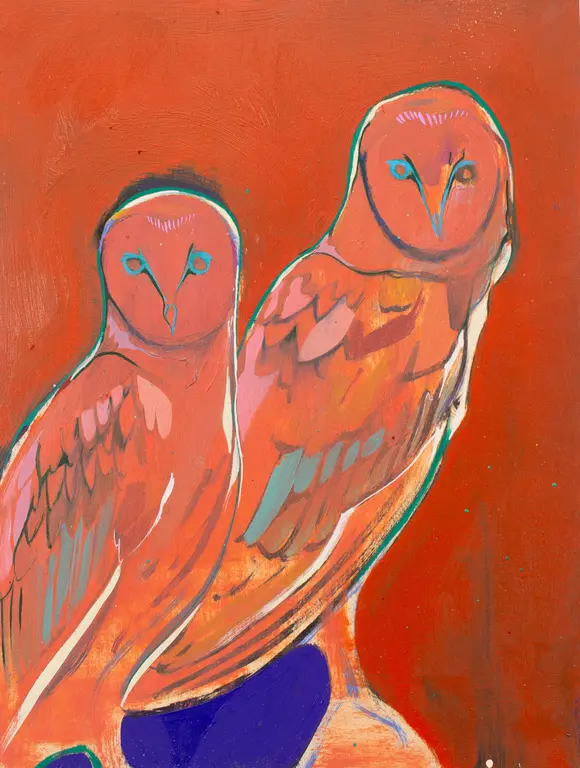 Image for Two Hoots