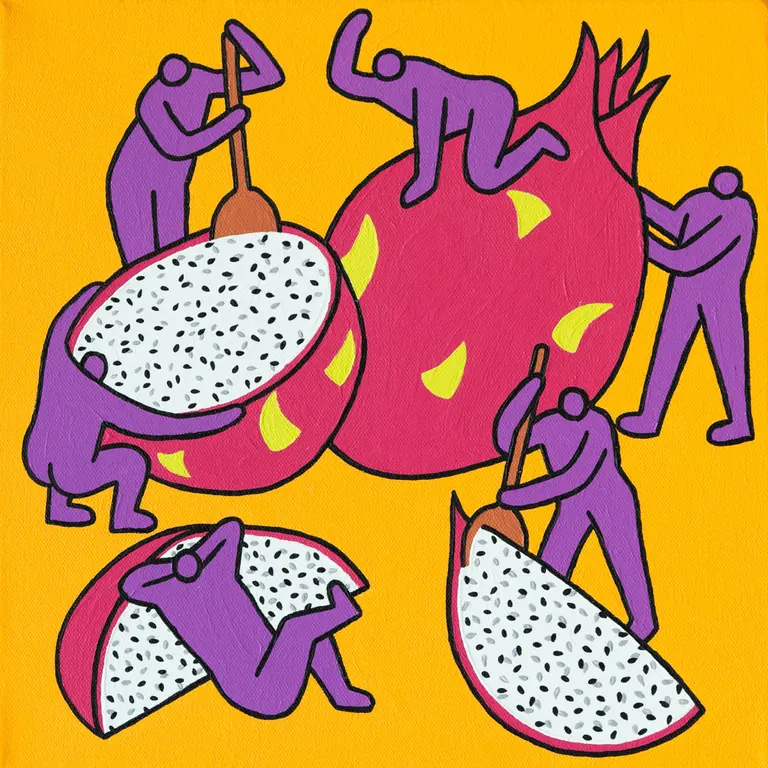 Image for Dragon Fruit Slices