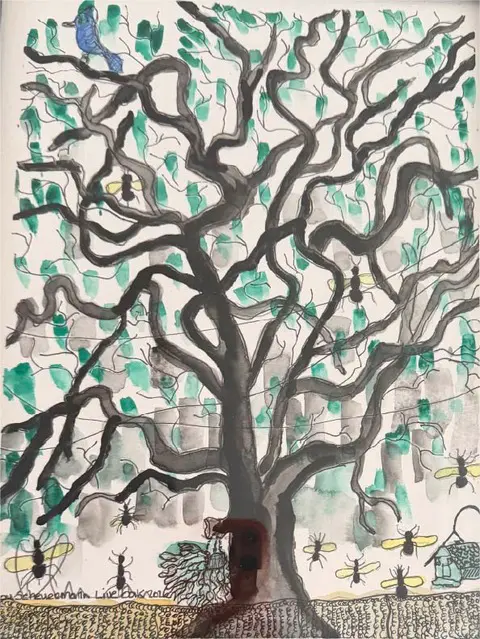 Image for Live oak