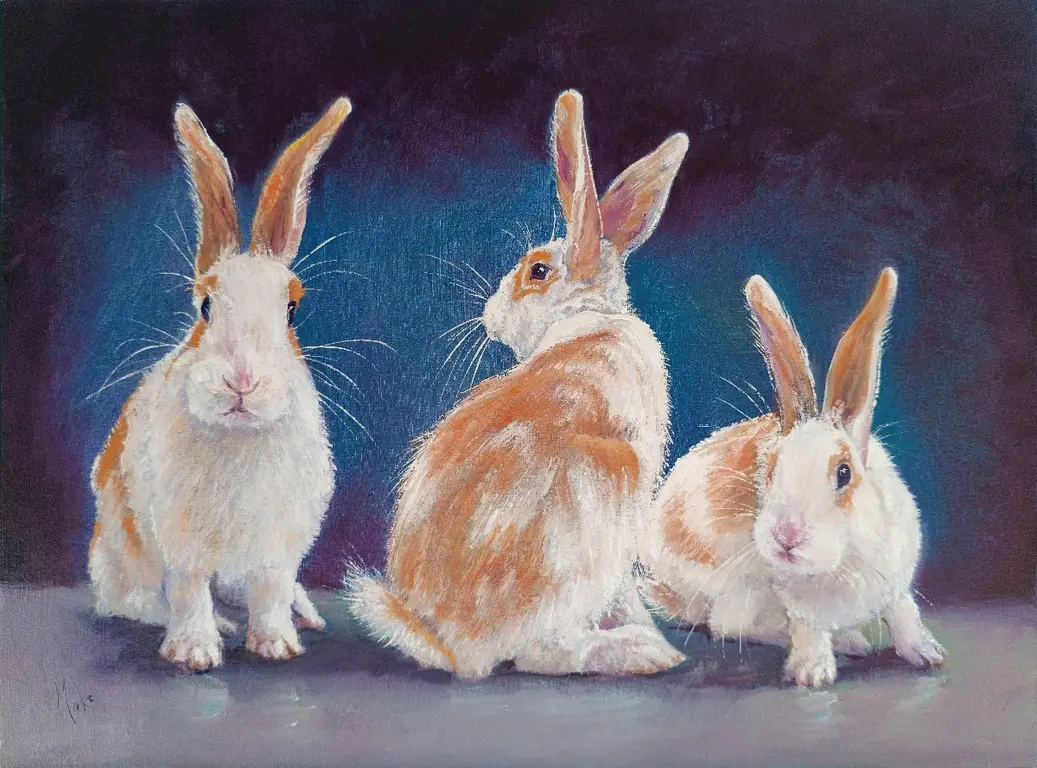 Image for 3 Little Rabbits