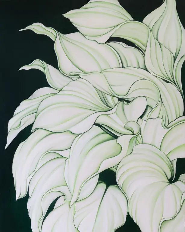 Image for A Plantain Lily in Malibu, CA (on vert de gris)