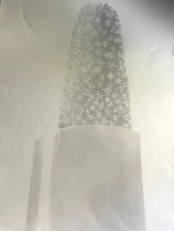 Image for Cactus