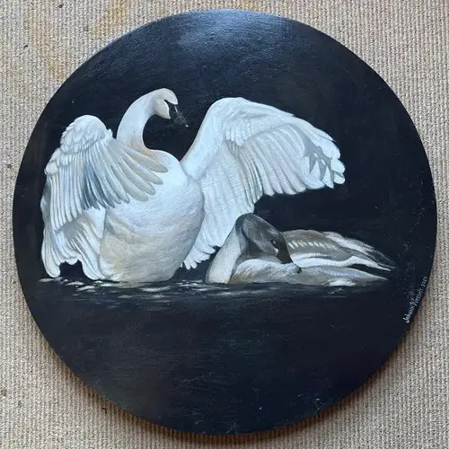 Image for Swan and cygnet