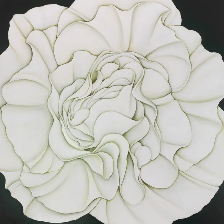 Image for White Begonia on a Vancouver Balcony