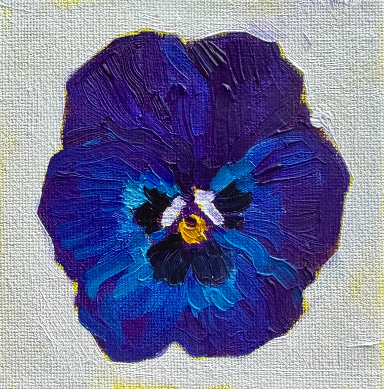 Image for Pansy flower