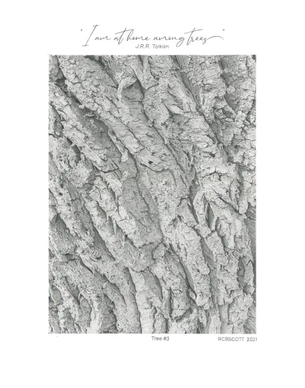 Image for Tree No. 3