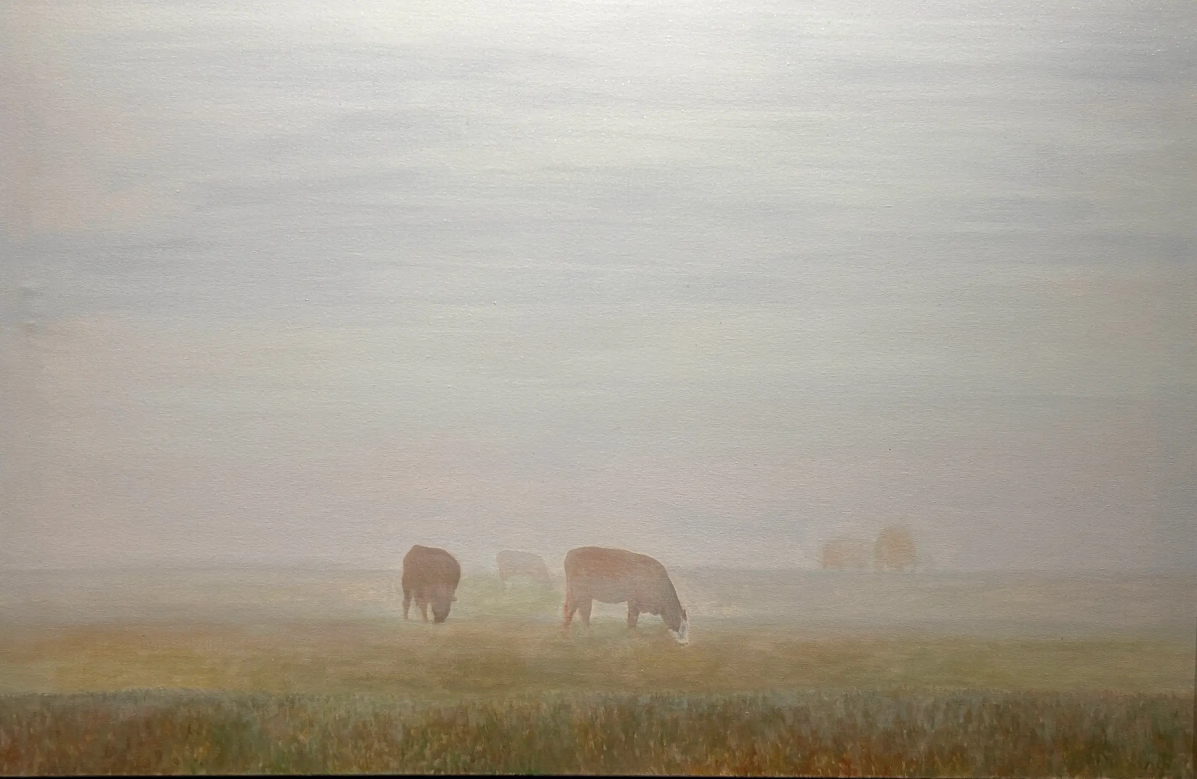 Picture of “Cows & Mist”