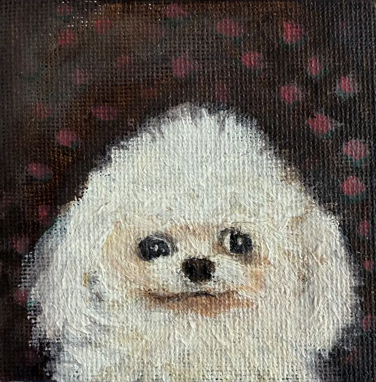 Image for Lufy cute dog