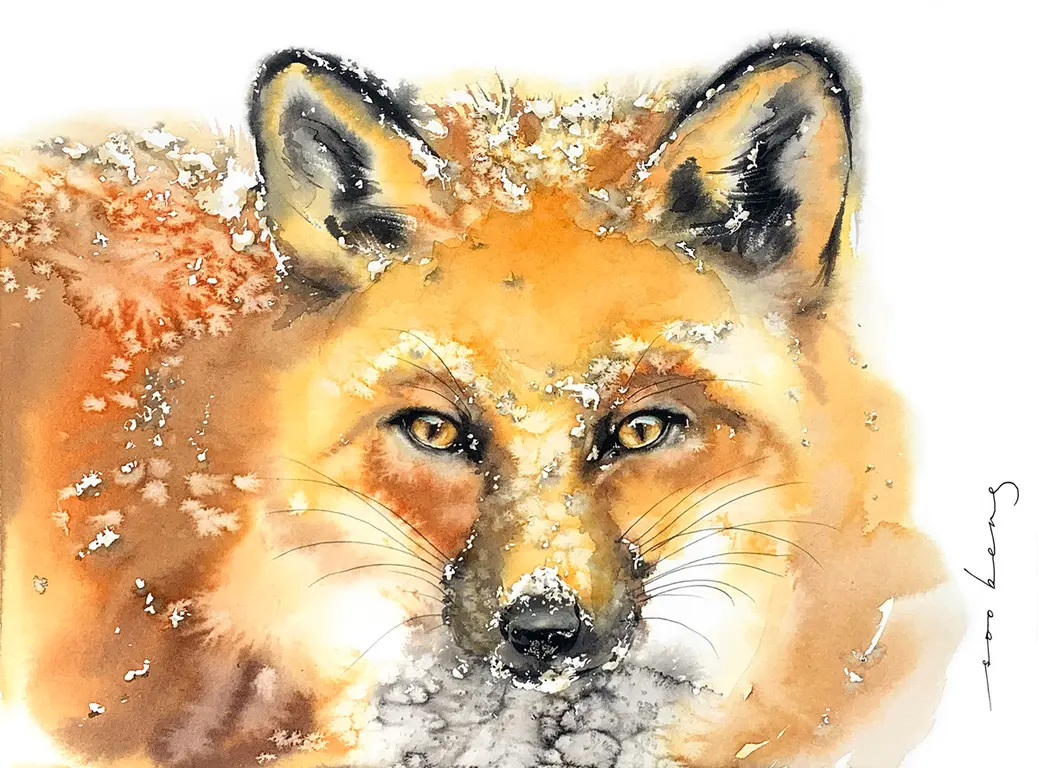 Image for Cool Fox