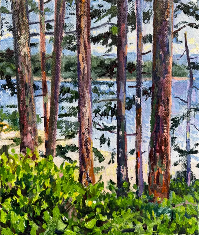 Image for Looking Through Firs