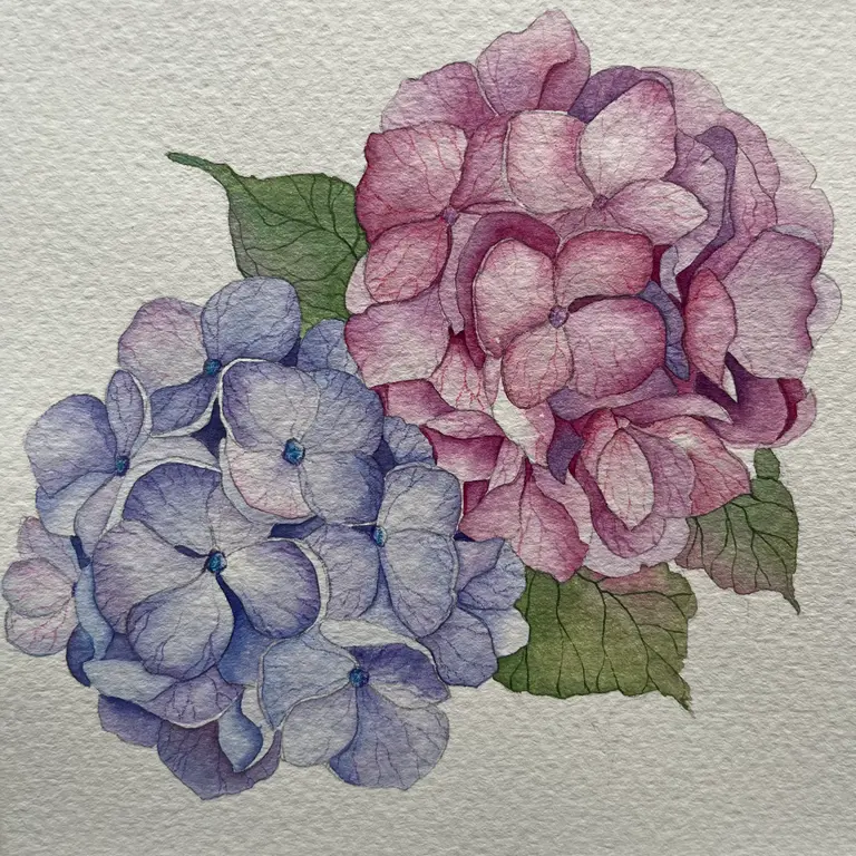 Image for Rhododendron