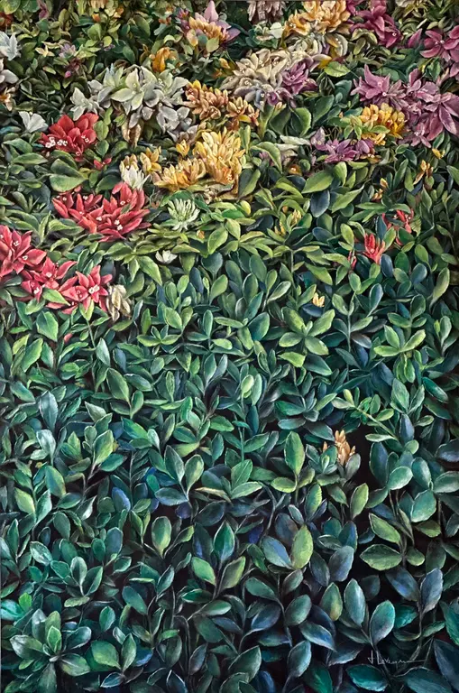 Image for Brise d’azur et bougainvillier