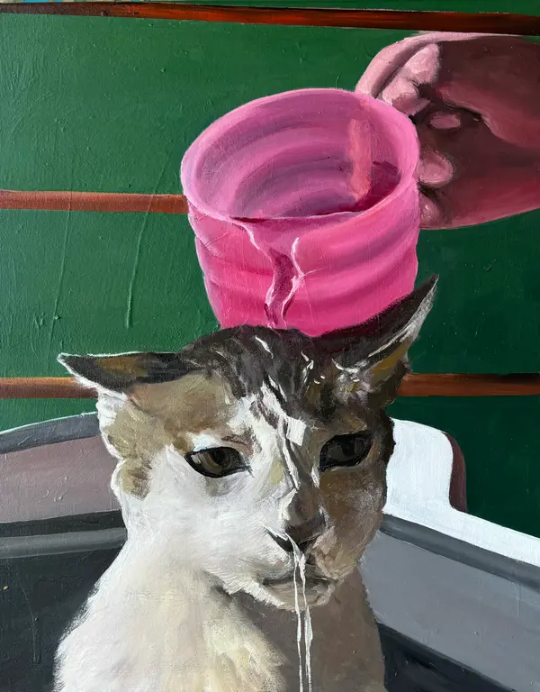 Image for Bathing the cat