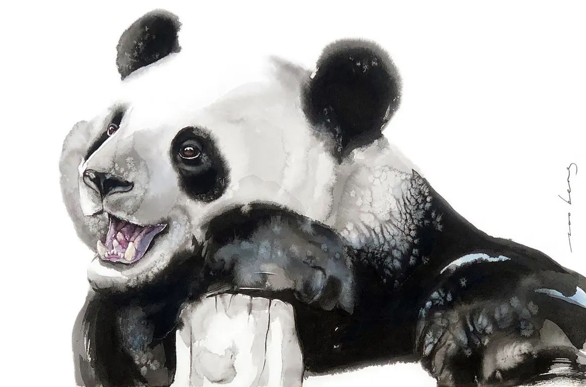 Image for Happy Panda