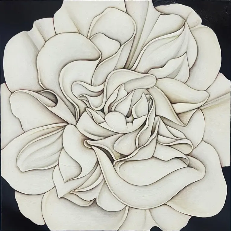 Image for White Camellia at Night