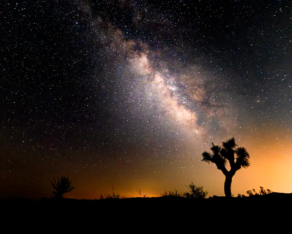 Image for Milky Way in Joshua Tree