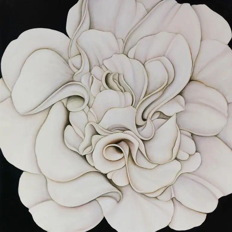 Image for White Camellia on Vert de Gris