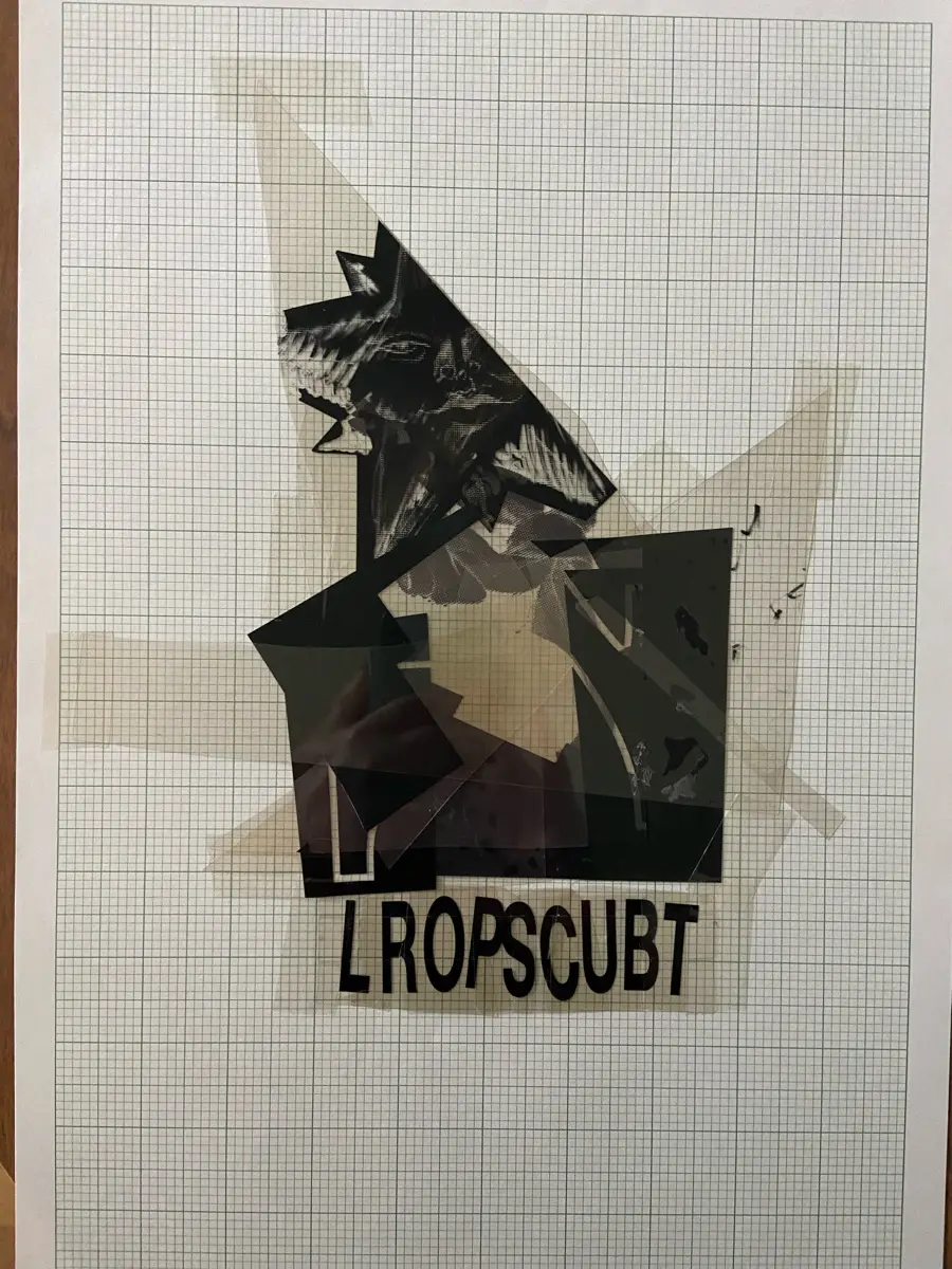 Picture of LROPSCUBT film collage