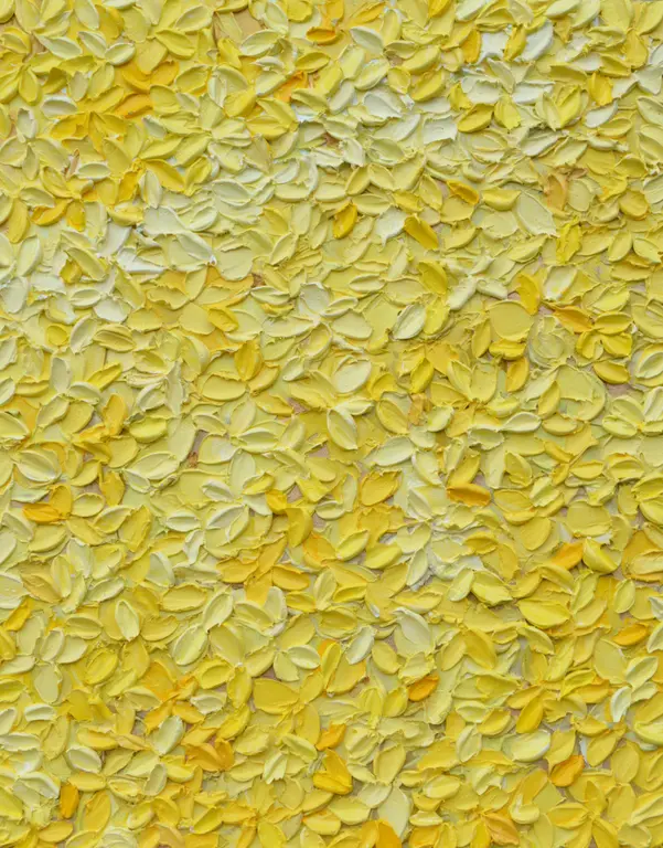 Image for Golden Forsythia