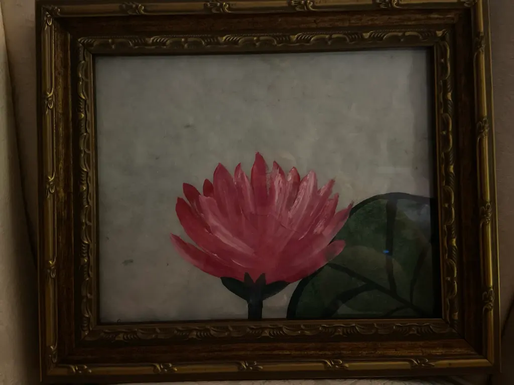 Image for Enlightenment