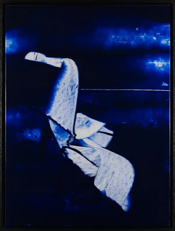 Image for Luminotype II