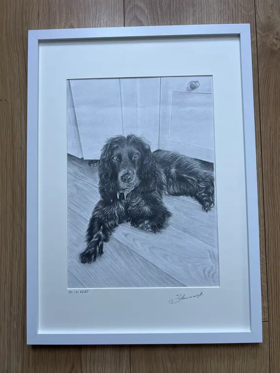 Image for Hyperrealistic pet sketch to order