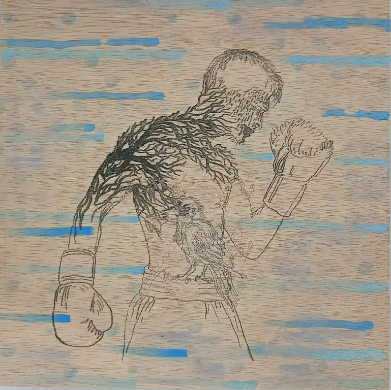 Image for Boxer