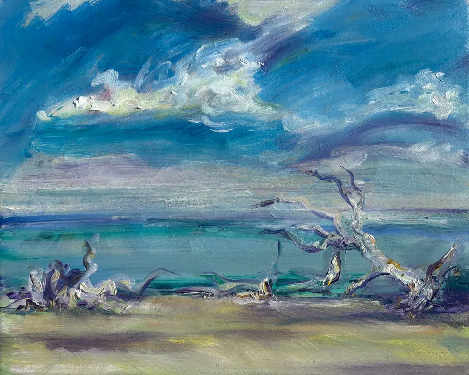Image for Boneyard Beach