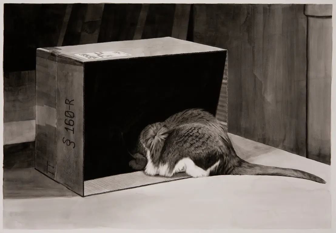 Image for Box With Cat