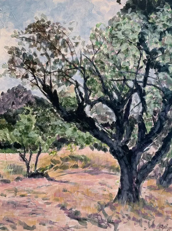 Image for Olive Tree