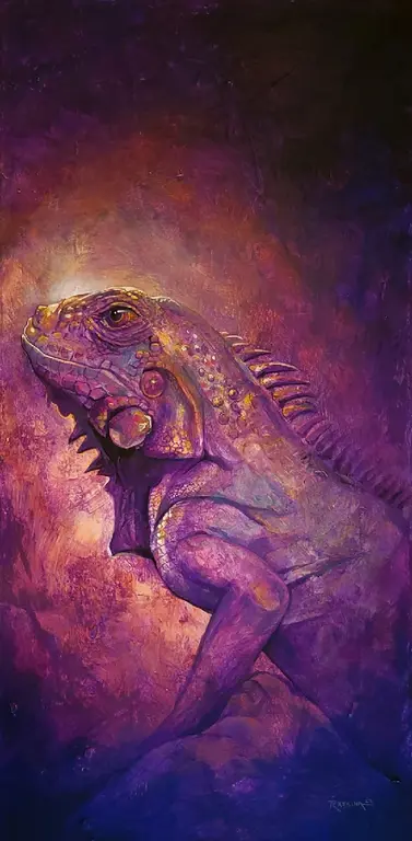 Image for Iguana